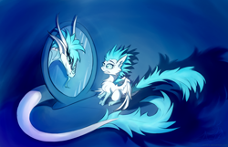 Size: 1680x1080 | Tagged: safe, artist:oksara, oc, oc only, oc:patch, dracony, dragon, feathered dragon, hybrid, pony, :p, chest fluff, duality, ear fluff, gritted teeth, lidded eyes, long tail, mirror, reflection, scared, sitting, smiling, smirk, solo, spread wings, tail, teeth, tongue out, wide eyes, wings