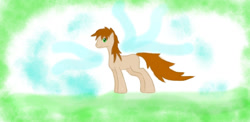 Size: 1223x599 | Tagged: safe, artist:samuel-neocros, oc, oc only, oc:sam, earth pony, pony, abstract background, earth pony oc, male, solo, stallion