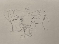 Size: 2048x1536 | Tagged: safe, artist:selenophile, oc, oc only, oc:canvas, oc:seleno, deer, pony, duo, eyes closed, heart, monochrome, sharing a drink, sketch, traditional art