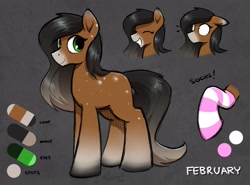 Size: 3739x2768 | Tagged: safe, artist:selenophile, oc, oc only, earth pony, pony, clothes, high res, reference sheet, sock, socks, solo, striped socks