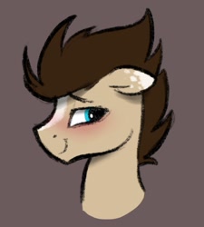 Size: 1305x1450 | Tagged: safe, artist:selenophile, oc, oc only, oc:skittle, pegasus, pony, bust, male, portrait, solo, stallion