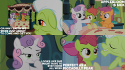 Size: 4400x2475 | Tagged: safe, edit, edited screencap, editor:quoterific, screencap, apple bloom, granny smith, scootaloo, sweetie belle, earth pony, pegasus, pony, unicorn, family appreciation day, g4, cutie mark crusaders