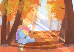 Size: 3508x2480 | Tagged: safe, artist:winstiky, rainbow dash, pegasus, pony, g4, crepuscular rays, eyes closed, female, forest, hat, heart, high res, hoof heart, leaves, mare, sleeping, solo, spoilers for another series, tree