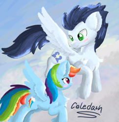 Size: 1215x1249 | Tagged: safe, artist:celedash, rainbow dash, soarin', pegasus, pony, g4, blushing, cloud, duo, female, flying, looking at each other, looking at someone, male, mare, ship:soarindash, shipping, sky, smiling, stallion, straight