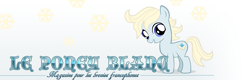 Size: 935x299 | Tagged: safe, oc, oc only, oc:brave, earth pony, pony, 2012, banner, earth pony oc, french, le poney blanc, meta, solo, text, website