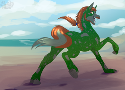 Size: 1400x1000 | Tagged: safe, artist:sunny way, oc, oc only, oc:well geboren, dog, dog pony, hybrid, original species, pony, beach, colored, commission, cute, fangs, finished commission, flat colors, happy, male, ocean, paws, running, solo, stallion, water
