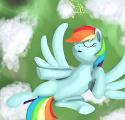 Size: 1272x1219 | Tagged: safe, artist:librarylonging, rainbow dash, pegasus, pony, g4, cloud, eyes closed, flying, solo, spread wings, wings