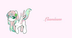 Size: 3000x1600 | Tagged: safe, oc, oc only, pegasus, pony