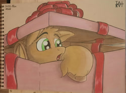 Size: 2428x1800 | Tagged: safe, artist:tai kai, pony, bow, box, christmas gift, pony in a box, pony present, present, solo, surprised, traditional art, unshorn fetlocks, wondering