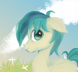 Size: 1080x1000 | Tagged: source needed, safe, artist:woolen cloe, sandbar, earth pony, pony, g4, cloud, floppy ears, grass, looking at you, male, profile, sky, smiling, smiling at you, solo