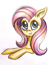 Size: 1551x1917 | Tagged: safe, artist:jejejoja, fluttershy, pegasus, pony, g4, 2013, bust, colored sketch, old art, simple background, sketch, smiling, solo, traditional art, white background