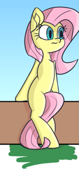 Size: 625x1350 | Tagged: safe, artist:fakkajohan, fluttershy, pegasus, pony, g4, bipedal, bipedal leaning, female, leaning, solo