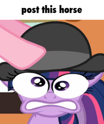 Size: 369x439 | Tagged: safe, edit, edited screencap, screencap, pinkie pie, twilight sparkle, earth pony, horse, pony, unicorn, g4, mmmystery on the friendship express, bowler hat, caption, cropped, floppy ears, hat, meme, shitposting, silly, silly pony, special eyes, text, unicorn twilight