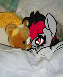 Size: 640x775 | Tagged: safe, artist:lazerblues, oc, oc:miss eri, earth pony, pony, bed, in bed, plushie, ponified animal photo, solo, teddy bear