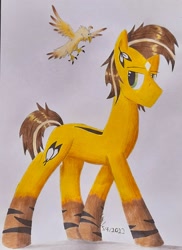 Size: 1630x2240 | Tagged: safe, artist:thecrimsonspark, oc, oc only, oc:desert sun, oc:tovii, bird, eagle, earth pony, pony, brown mane, reference, reference sheet, solo, traditional art