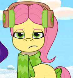 Size: 1613x1727 | Tagged: safe, screencap, pipp petals, posey bloom, earth pony, pegasus, pony, g5, my little pony: tell your tale, snow pun intended, spoiler:tyts01e37, annoyed, clothes, cropped, duo, duo female, earmuffs, eyebrows, female, frown, looking at you, mare, offscreen character, posey bloom is not amused, scarf, solo focus, unamused, youtube link