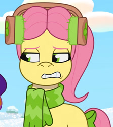 Size: 1541x1727 | Tagged: safe, screencap, pipp petals, posey bloom, earth pony, pegasus, pony, g5, my little pony: tell your tale, snow pun intended, spoiler:tyts01e37, cropped, earmuffs, female, mare
