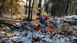 Size: 1192x670 | Tagged: safe, rainbow dash, pegasus, pony, g4, clothes, forest, mgrdash, photo, snow, winter, winter outfit