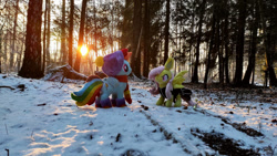 Size: 1192x670 | Tagged: safe, fluttershy, rainbow dash, bat pony, pegasus, pony, g4, bat ponified, clothes, dress, female, flutterbat, forest, lesbian, mgrdash, photo, race swap, ship:flutterdash, shipping, sunset, winter, winter outfit