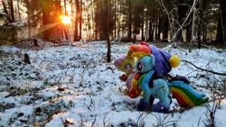 Size: 1192x670 | Tagged: safe, fluttershy, rainbow dash, bat pony, pegasus, pony, g4, bat ponified, clothes, dress, female, flutterbat, forest, lesbian, mgrdash, photo, race swap, ship:flutterdash, shipping, snow, sunset, winter, winter outfit