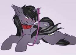 Size: 2600x1900 | Tagged: safe, artist:snowstormbat, oc, oc only, oc:astral gazer, alicorn, bat pony, bat pony alicorn, pony, bat wings, blushing, collar, heterochromia, horn, leash, male, pet play, simple background, smiling, solo, stallion, submissive, wings