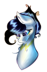 Size: 1471x2266 | Tagged: safe, artist:aquasky987, oc, oc only, earth pony, pony, bust, earth pony oc, female, mare, simple background, solo, transparent background