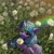 Size: 2048x2048 | Tagged: safe, artist:lendftcn, izzy moonbow, pony, unicorn, g5, cute, female, flower, flower field, high res, izzybetes, looking at you, looking back, looking back at you, looking up, looking up at you, lying down, mare, prone, rainbow, solo