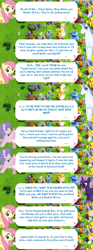 Size: 2048x5484 | Tagged: safe, gameloft, idw, dyre, fluttershy, grackle, north star (g1), violet shiver, zecora, human, pegasus, pony, unicorn, g1, g4, my little pony: magic princess, clothes, costume, dialogue, dialogue box, disguise, english, event, female, idw showified, mare, speech bubble, spread wings, text, wings