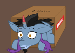 Size: 1481x1052 | Tagged: safe, artist:maître cervidé, oc, oc:sanity, pony, unicorn, box, commission, pony in a box, simple background, solo, ych result