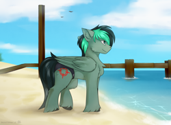 Size: 3400x2470 | Tagged: safe, artist:snowstormbat, oc, oc only, oc:target strike, pegasus, pony, beach, clothes, high res, male, ocean, pier, sand, solo, speedo, stallion, swimsuit, unshorn fetlocks, water