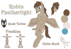 Size: 5564x3844 | Tagged: safe, artist:emc-blingds, oc, oc only, pegasus, anthro, unguligrade anthro, breasts, bust, featureless breasts, pegasus oc, reference sheet, simple background, smiling, story included, transparent background, wings