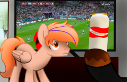 Size: 3952x2560 | Tagged: safe, artist:fededash, oc, oc only, oc:fededash, oc:paul, pegasus, pony, alcohol, argentina, beer, eyes open, football, glass, high res, house, male, male oc, mexico, orange eyes, pegasus oc, pony oc, sports, stallion, stallion oc, television, tree, window, wings, world cup, world cup 2022