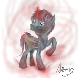 Size: 2048x2048 | Tagged: safe, artist:antares, oc, oc:antumbra, high res, pegacorn