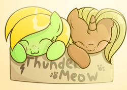 Size: 2970x2100 | Tagged: safe, artist:candy meow, oc, oc only, oc:aurora lulamoon, oc:candy meow, pegasus, pony, unicorn, :3, ^^, behaving like a cat, box, cute, duo, eyes closed, female, filly, foal, gradient background, high res, horn, if i fits i sits, lightning, mare, paw prints, pegasus oc, pony in a box, pony oc, simple background, thundermeow, unicorn oc