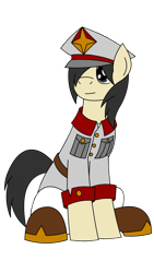 Size: 1799x3198 | Tagged: safe, artist:efpony, oc, oc only, oc:efpony, earth pony, pony, 2023 community collab, derpibooru community collaboration, simple background, sitting, solo, transparent background