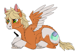 Size: 1306x908 | Tagged: safe, artist:cackling-beast, oc, oc only, pegasus, pony, :t, blonde mane, colored wings, fetlock tuft, green eyes, lying down, male, orange fur, scar, short tail, simple background, spread wings, stallion, tail, transparent background, two toned coat, two toned wings, unshorn fetlocks, watermark, white fur, wings