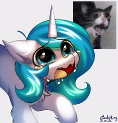 Size: 2841x2967 | Tagged: safe, artist:gicme, oc, oc:time slowly, cat, pony, unicorn, chest fluff, crying, crying cat, high res, meme, not celestia, ponified meme, solo