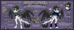 Size: 8100x3326 | Tagged: safe, artist:greenmaneheart, oc, oc:nightwatcher, griffon, anthro, absurd resolution, clothes, female, reference sheet, solo, sunglasses, sweater
