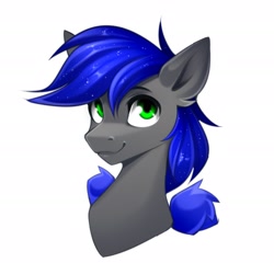 Size: 2362x2362 | Tagged: safe, artist:buvanybu, oc, oc only, pegasus, pony, bust, high res, portrait, simple background, solo, white background