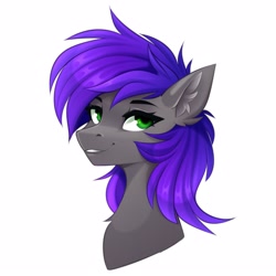 Size: 2560x2560 | Tagged: safe, artist:buvanybu, oc, oc only, pony, bust, ear fluff, high res, portrait, simple background, solo, white background