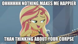 Size: 800x450 | Tagged: safe, edit, edited screencap, screencap, sunset shimmer, human, equestria girls, g4, acoustic guitar, caption, female, guitar, image macro, jacksfilms, kermit the frog, meme, musical instrument, text