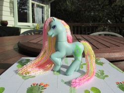 Size: 1032x774 | Tagged: safe, photographer:normaleeinsane, ivy, earth pony, pony, g2, female, house, irl, mare, merchandise, photo, porch deck, repaired, table, toy, tree, yarn