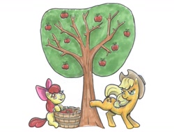 Size: 1280x979 | Tagged: safe, artist:zladdsmith, apple bloom, applejack, earth pony, pony, g4, apple, apple tree, applebucking, bow, cowboy hat, duo, female, filly, foal, food, hair bow, hat, looking back, mare, marker drawing, siblings, simple background, sisters, tongue out, traditional art, tree, white background