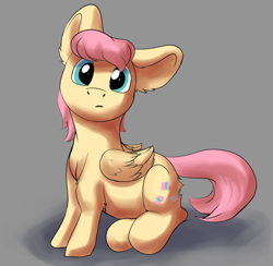 Size: 2100x2050 | Tagged: safe, artist:shaliwolf, fluttershy, pegasus, pony, g4, alternate hairstyle, ear fluff, elbow fluff, female, folded wings, gray background, head tilt, high res, looking at you, mare, short mane, simple background, sitting, solo, turned head, wings
