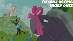Size: 1280x720 | Tagged: safe, edit, edited screencap, editor:quoterific, screencap, fluttershy, mr. tortoisnap, spike, dragon, pegasus, pony, tortoise, between dark and dawn, g4, apple, apple tree, assertive fluttershy, female, frown, giant tortoise, male, mare, open mouth, ribbon, stern, tied, tree, winged spike, wings, wrapped up, zaratan