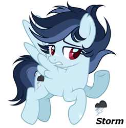 Size: 2430x2472 | Tagged: safe, artist:dustyygrey, artist:mint-light, oc, oc only, oc:storm, pegasus, pony, base used, cutie mark, female, high res, mare, offspring, parent:rainbow dash, parent:soarin', parents:soarindash, pegasus oc, reference sheet, scar, simple background, solo, white background