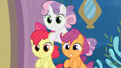 Size: 1920x1080 | Tagged: safe, screencap, apple bloom, scootaloo, sweetie belle, earth pony, pegasus, pony, seapony (g4), unicorn, g4, season 8, surf and/or turf, 1080p, adorabloom, cute, cutealoo, cutie mark crusaders, cutie mark cuties, diasweetes, dorsal fin, female, fin, fish tail, flowing mane, flowing tail, happy, horn, implied twilight sparkle, looking at you, ocean, reaction image, sea-mcs, seaponified, seapony apple bloom, seapony scootaloo, seapony sweetie belle, seaquestria, smiling, species swap, tail, trio, underwater, water