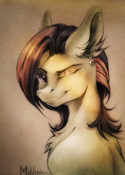Size: 3254x4547 | Tagged: safe, artist:mithriss, oc, oc only, oc:#, earth pony, pony, ear piercing, earring, female, hairstyle, jewelry, looking at you, mare, piercing, simple background, smiling, solo, sun, traditional art