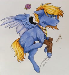 Size: 2728x2970 | Tagged: safe, artist:lunciakkk, oc, oc only, pegasus, pony, cheek fluff, clothes, commission, high res, scarf, signature, solo, traditional art