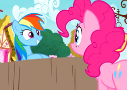 Size: 840x594 | Tagged: safe, screencap, pinkie pie, rainbow dash, earth pony, pegasus, pony, g4, season 7, secrets and pies, cropped, cute, dashabetes, diapinkes, duo, female, looking at each other, looking at someone, mare, smiling